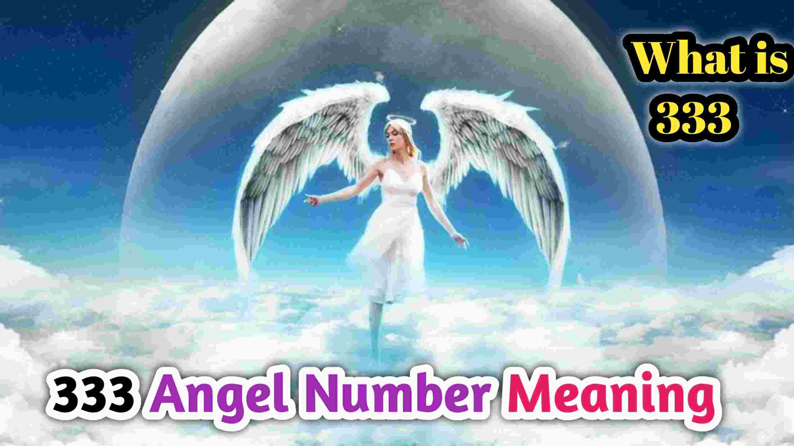 IMG COM 20230815 2259 17 2781